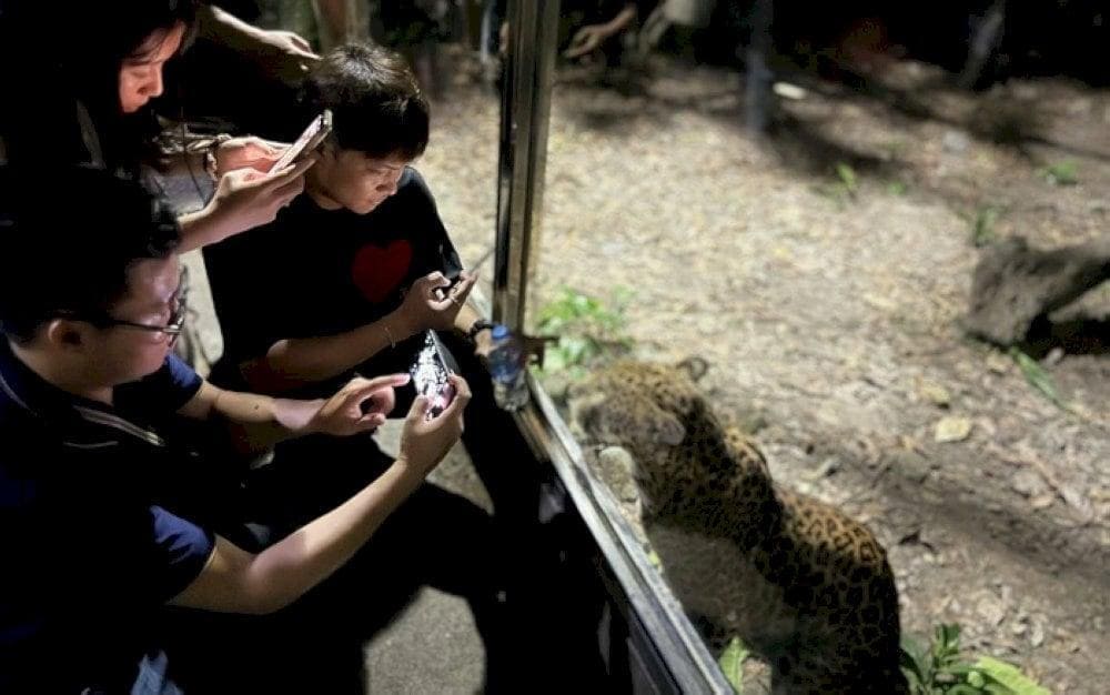 Visitors should maintain silence and avoid sudden movements as well as flash photography